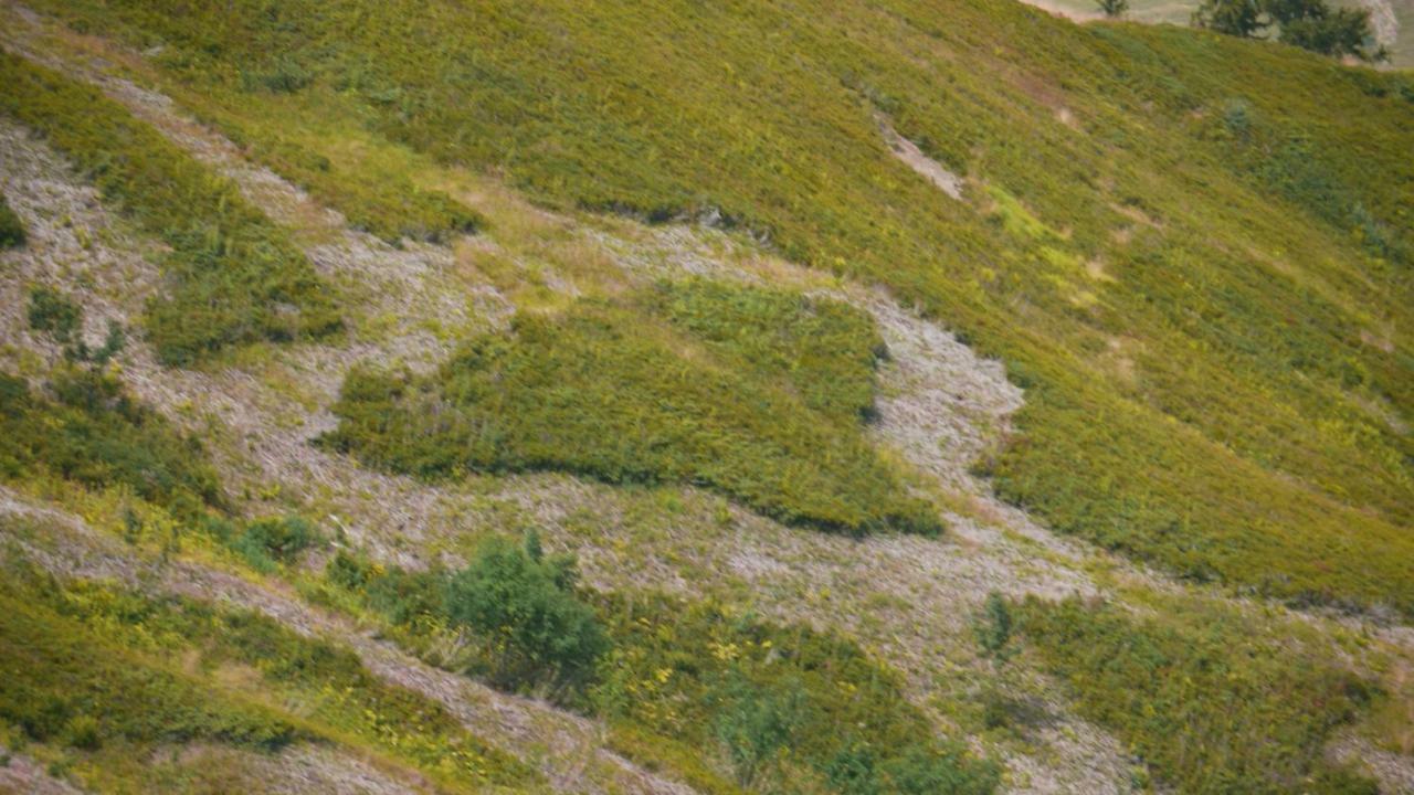 Апартаменты La Grande Cordee - Coeur D'Alpage Комблу Экстерьер фото